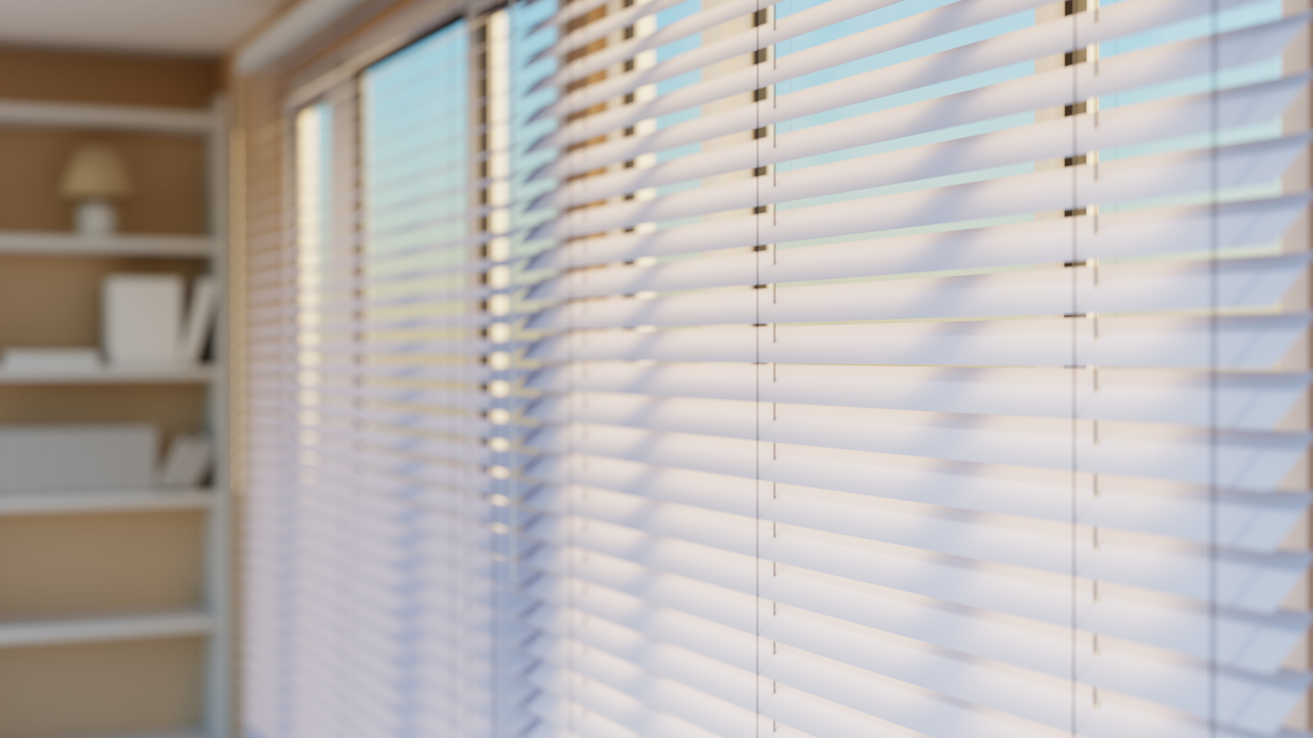 Vinyl Blinds